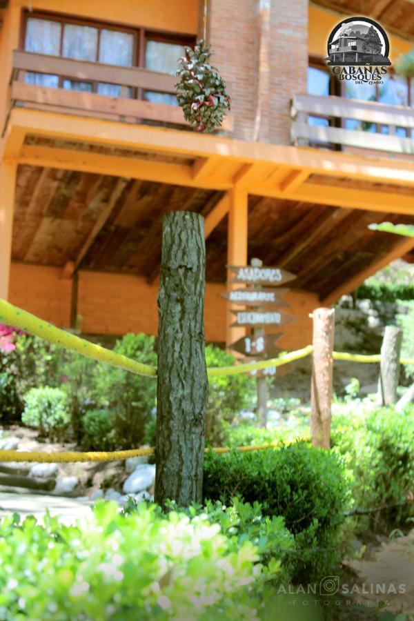 Cabanas Los Bosques Del Zembo 瓦斯卡坎波 外观 照片