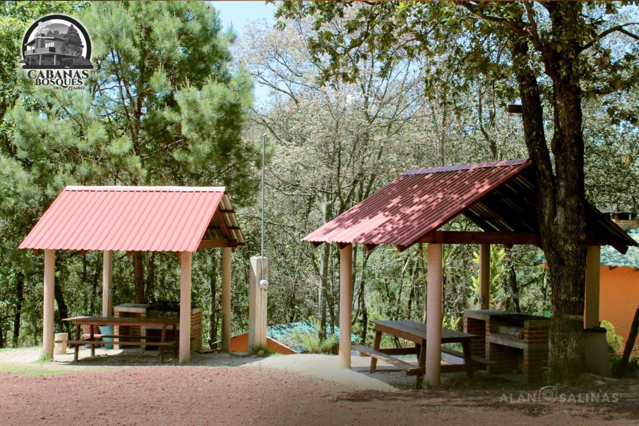 Cabanas Los Bosques Del Zembo 瓦斯卡坎波 外观 照片