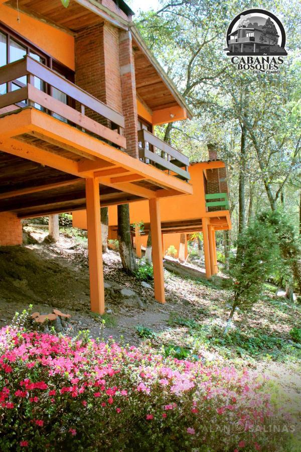 Cabanas Los Bosques Del Zembo 瓦斯卡坎波 外观 照片