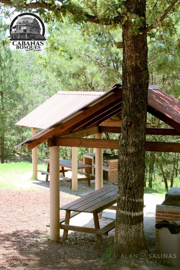 Cabanas Los Bosques Del Zembo 瓦斯卡坎波 外观 照片