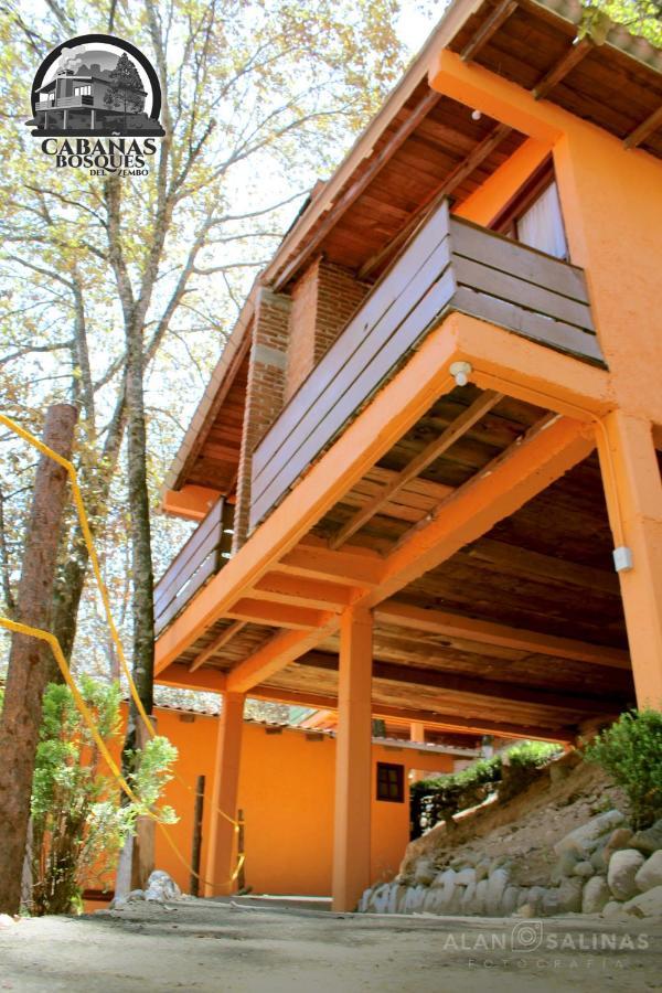 Cabanas Los Bosques Del Zembo 瓦斯卡坎波 外观 照片