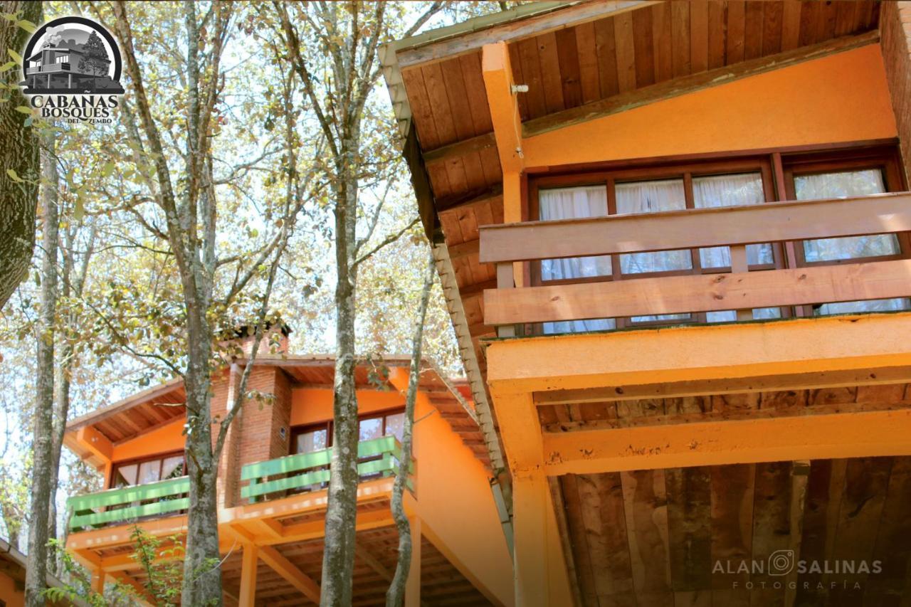 Cabanas Los Bosques Del Zembo 瓦斯卡坎波 外观 照片