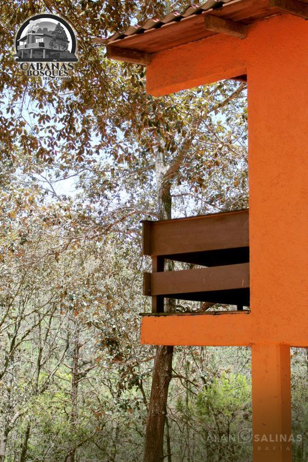 Cabanas Los Bosques Del Zembo 瓦斯卡坎波 外观 照片