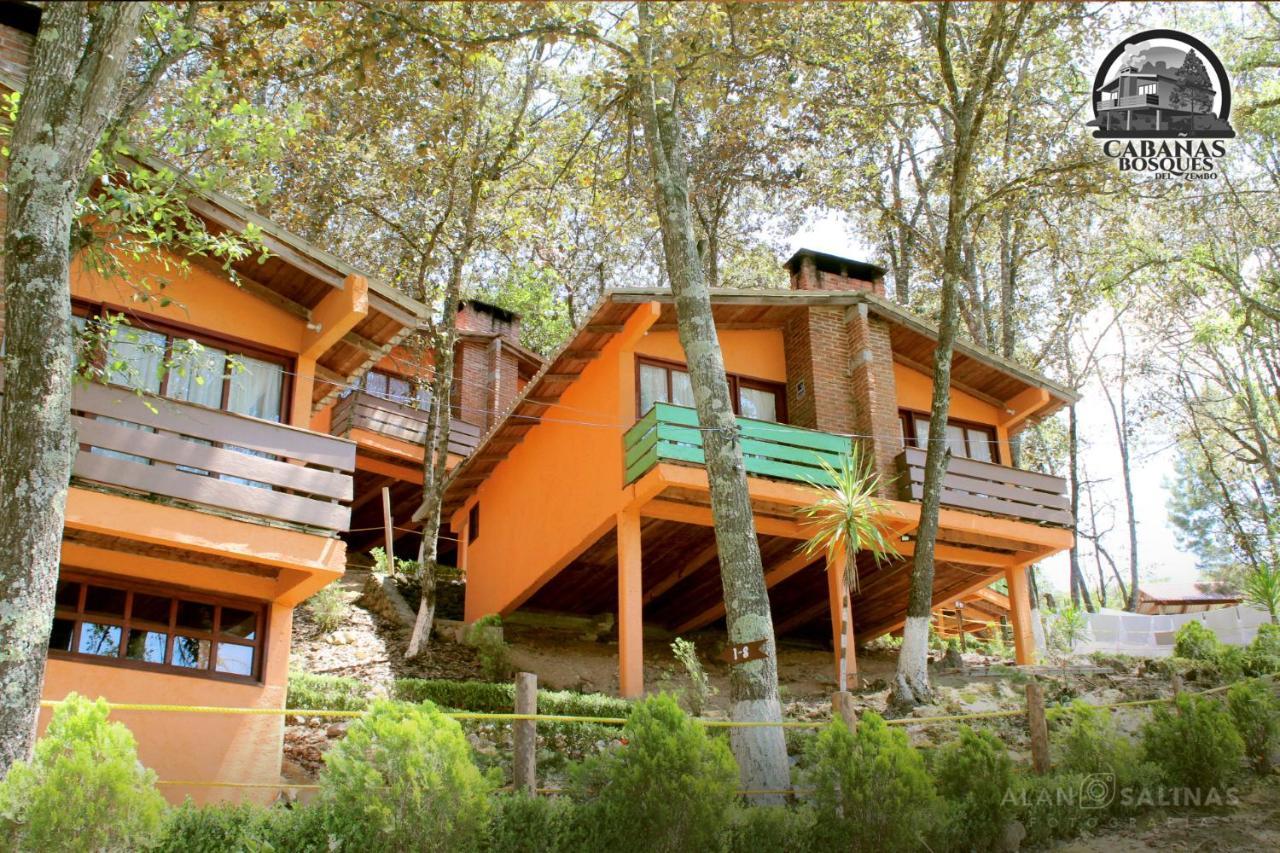 Cabanas Los Bosques Del Zembo 瓦斯卡坎波 外观 照片