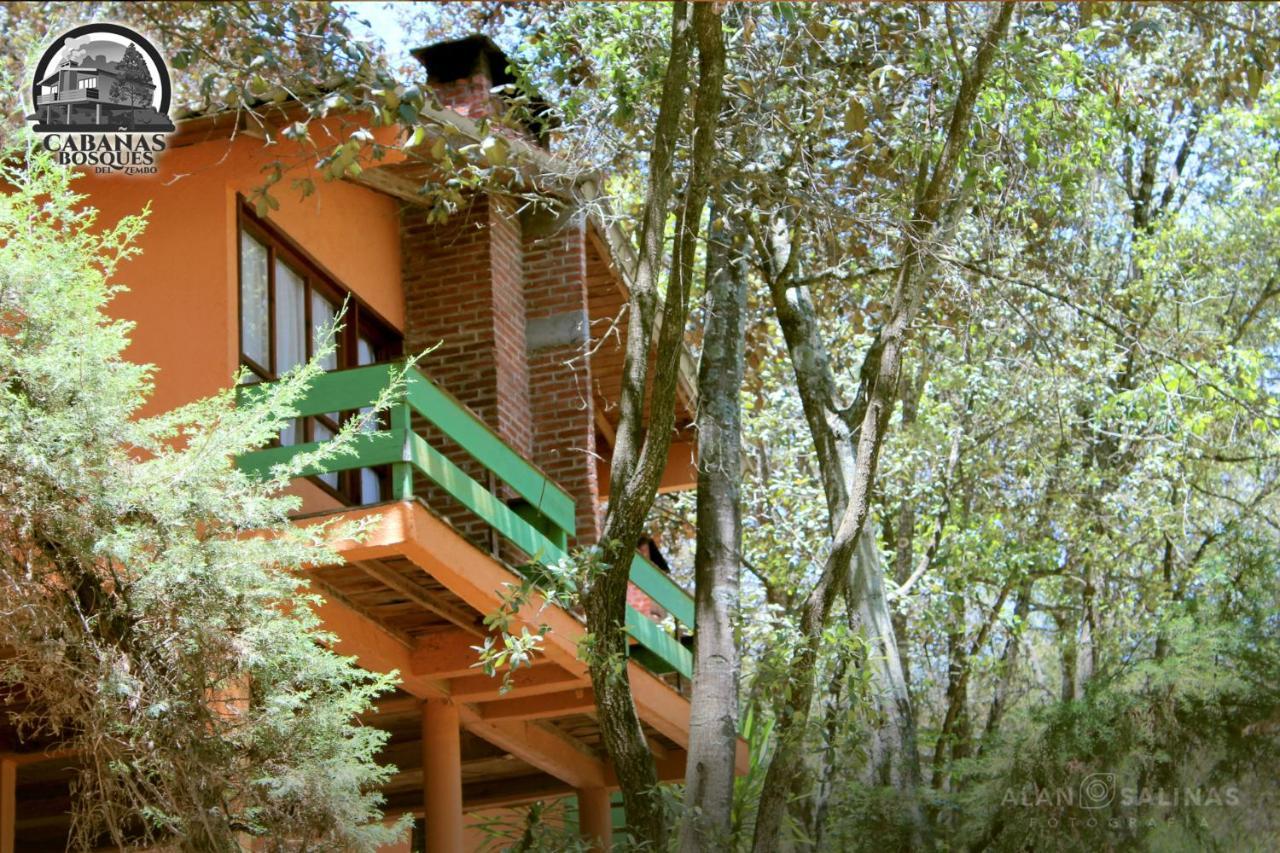 Cabanas Los Bosques Del Zembo 瓦斯卡坎波 外观 照片