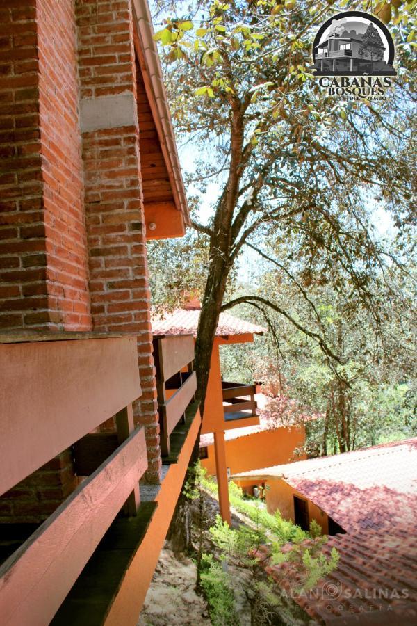 Cabanas Los Bosques Del Zembo 瓦斯卡坎波 外观 照片