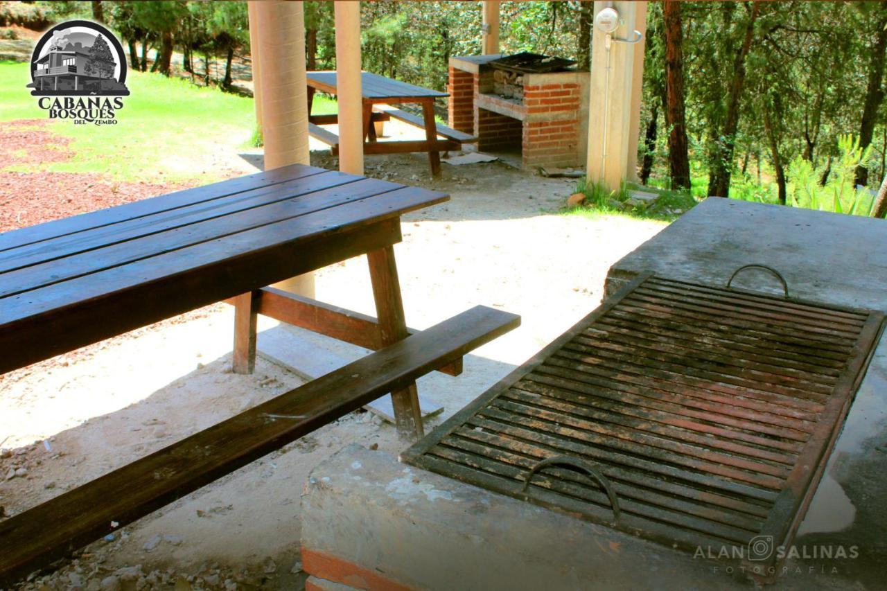 Cabanas Los Bosques Del Zembo 瓦斯卡坎波 外观 照片