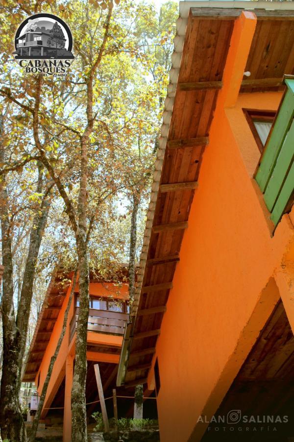 Cabanas Los Bosques Del Zembo 瓦斯卡坎波 外观 照片