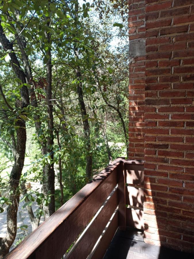 Cabanas Los Bosques Del Zembo 瓦斯卡坎波 外观 照片