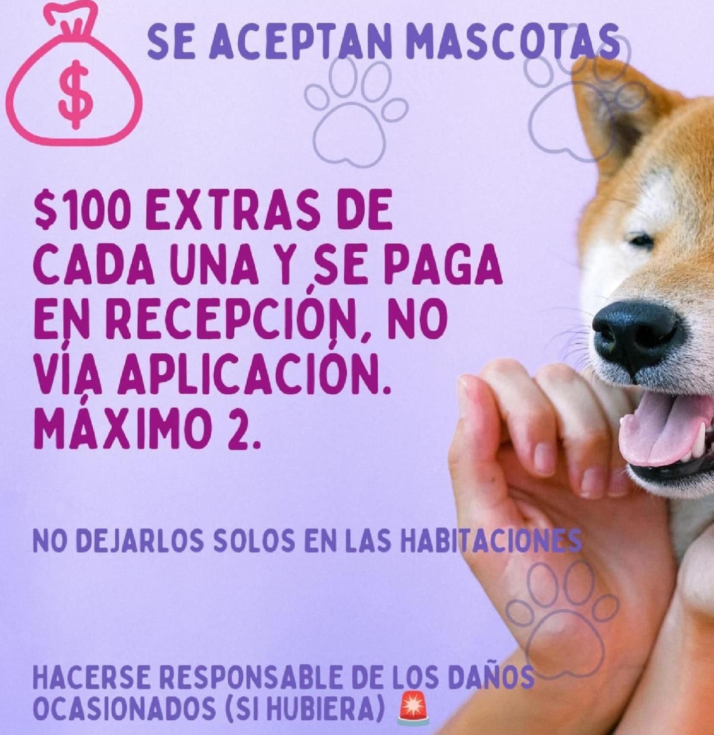Cabanas Los Bosques Del Zembo 瓦斯卡坎波 外观 照片
